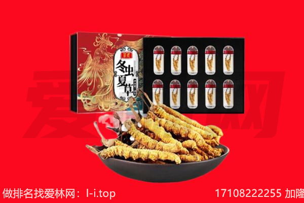滁州回收虫草.jpg